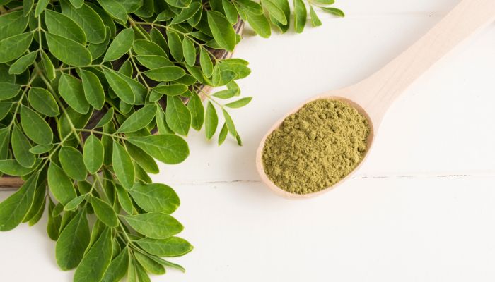 moringa coltivazione moringa coltivazione