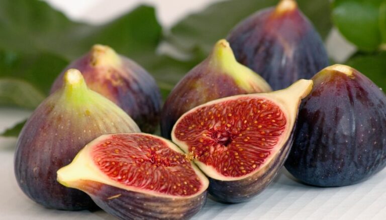 Fichi calorie