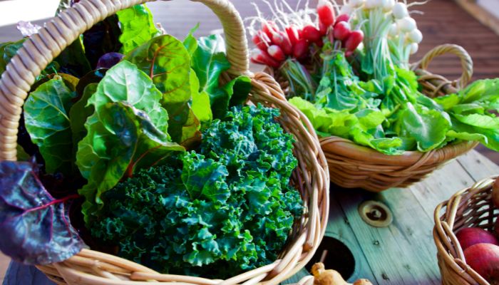 Verdure a Foglia Verde