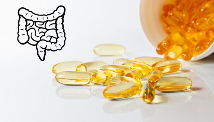 omega 3 intestino