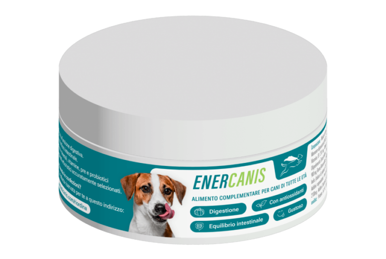 Enercanis