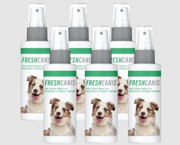 Freshcanis fantasticane
