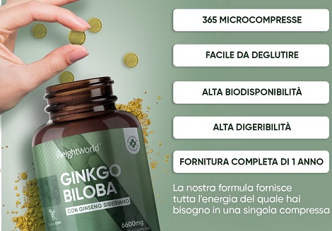 Ginkgo Biloba Ginkgo Biloba